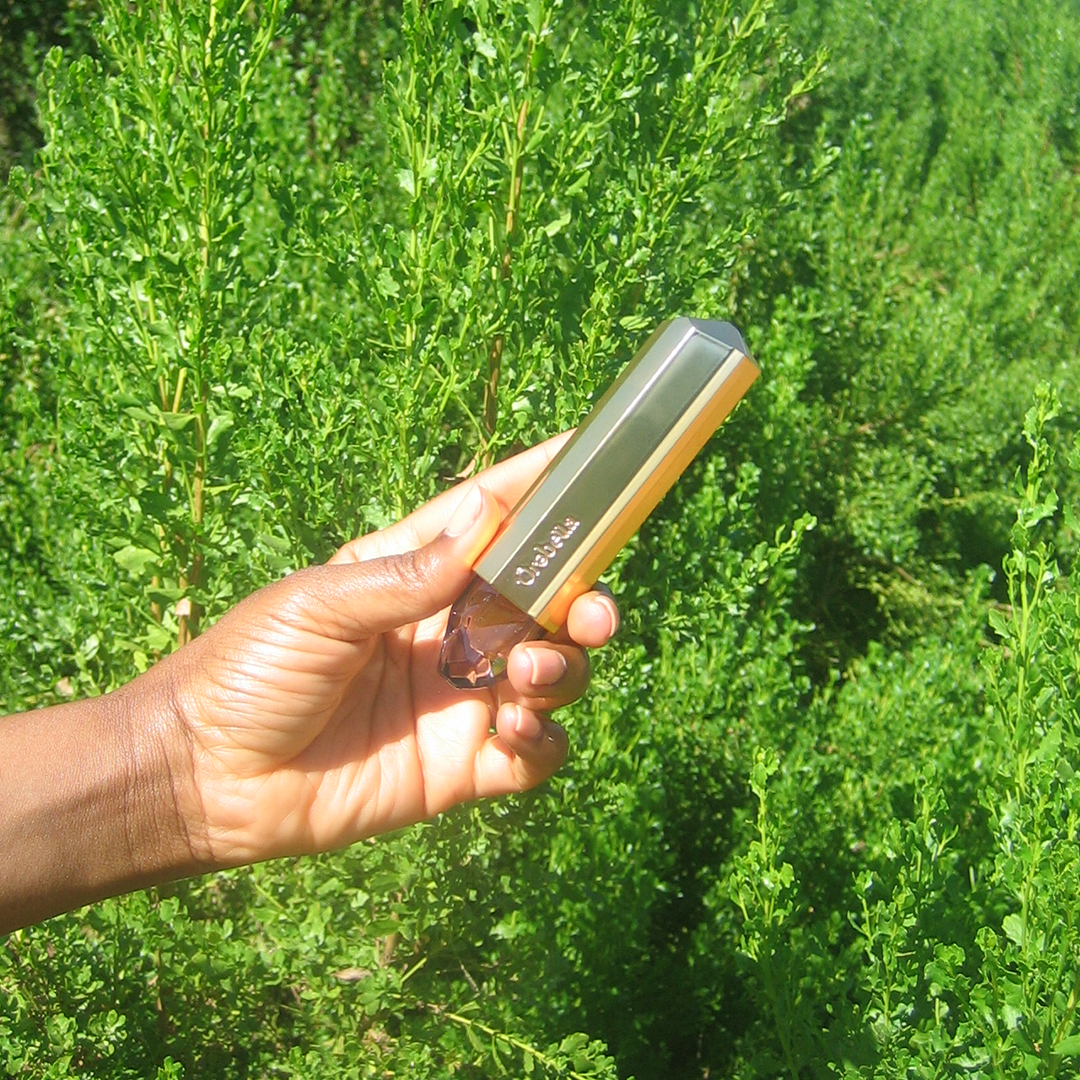 TRAVEL CASE FOR 10mL PARFUMS