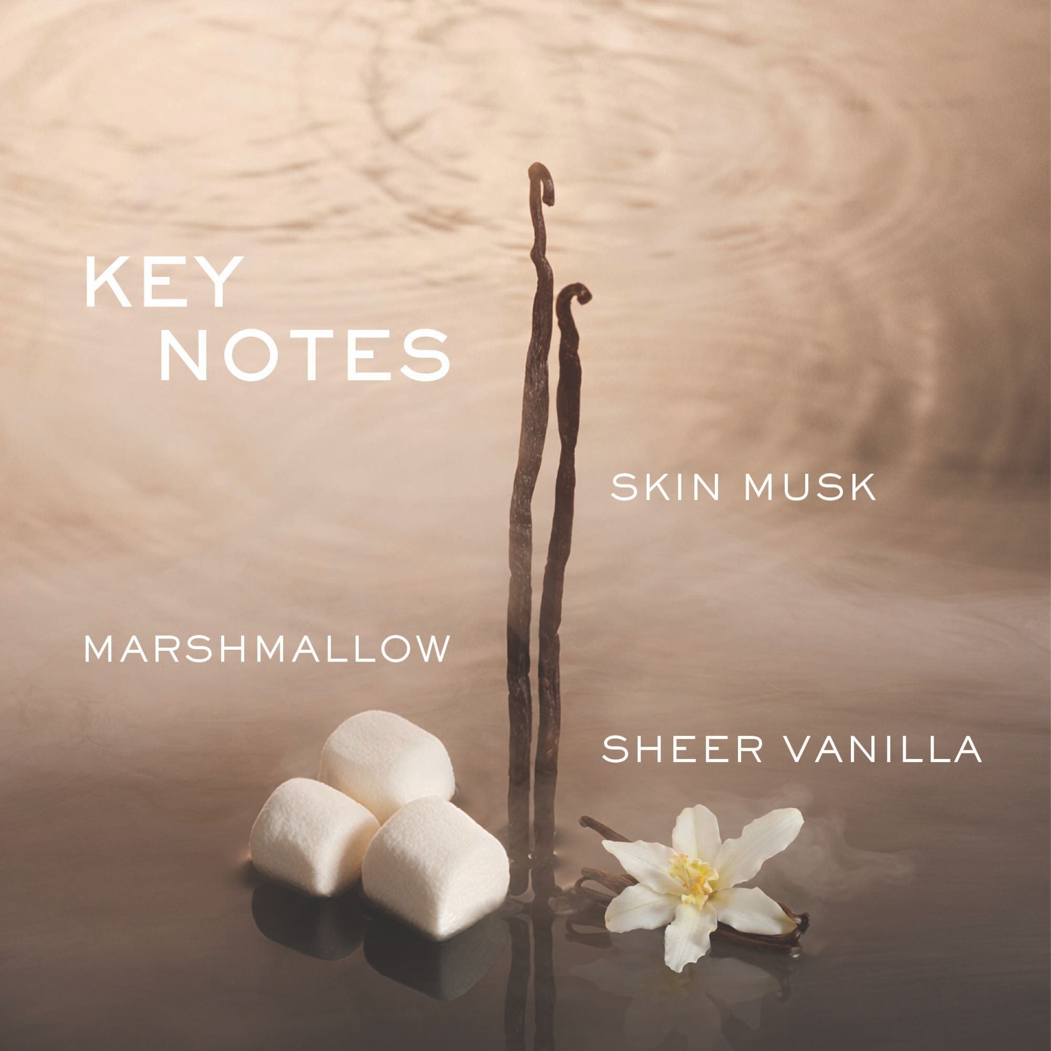 "Key Notes" graphic for Vanilla's Touch displaying marshmallows, a white vanilla flower next to vanilla beans, and soft ripples in water, labeled with key notes: Marshmallow, Sheer Vanilla, and Skin Musk.